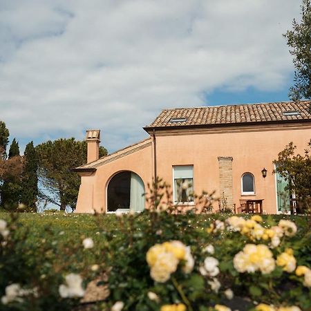 Bed and Breakfast Nontiscordardimé Civitanova Marche Esterno foto